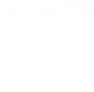 MoestaBBQ_Logo 2016_weiß_komplett